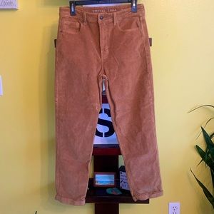 American Eagle Outfitters Brown Corduroy Jeans
